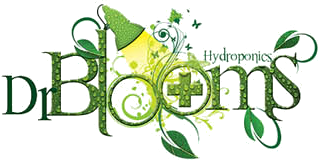 Doctor Blooms